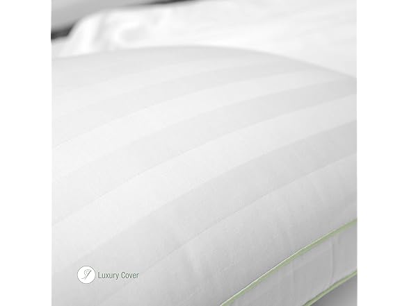 BioPEDIC 4Pk 300TC Plush Fiber Pillow