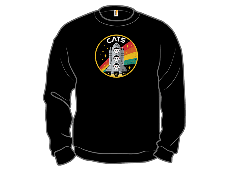 CATS  Space Division