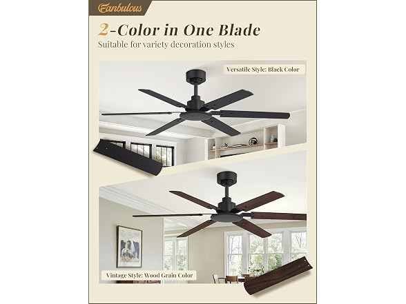 Fanbulous Black 48” Ceiling Fan with Lights