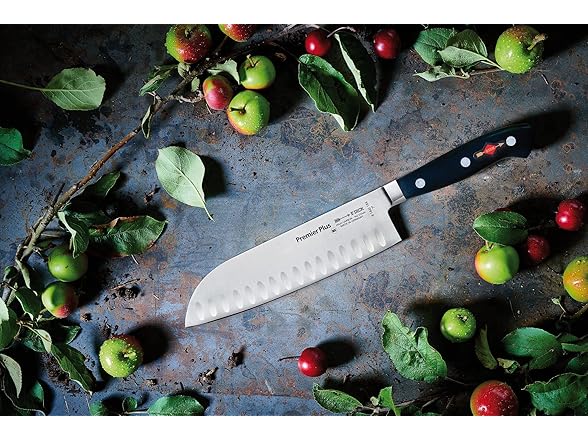 F. DICK Premier Plus Santoku Knife