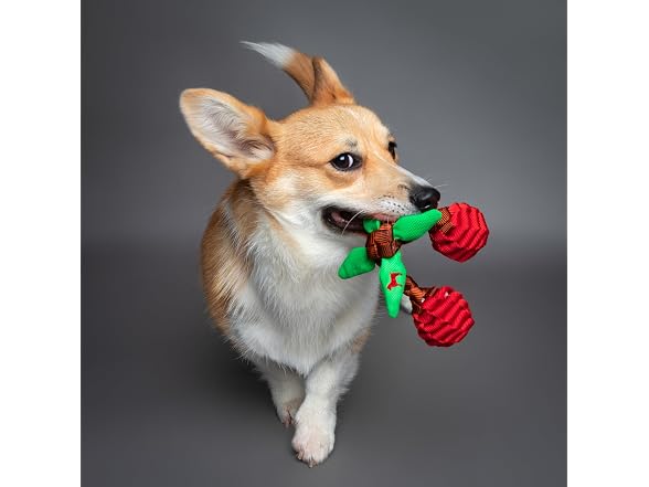 NOAH & PAW Luxury Dog Toy, Cherry