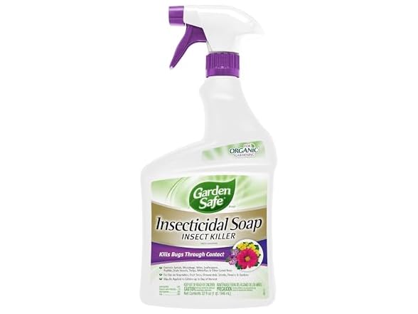 Garden Safe Brand Insecticidal Soap Insect Killer, 3PK
