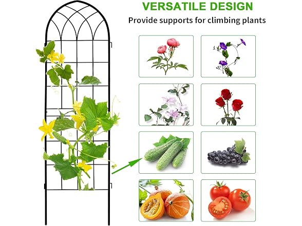 LZRS 4 Pack 71x20in Garden Trellis