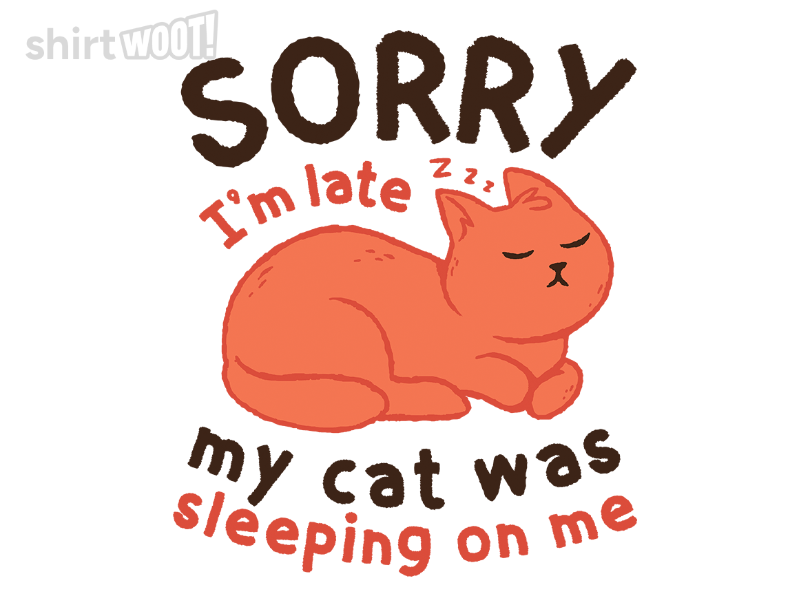 My Cat Was Sleeping On Me - Gallery 4