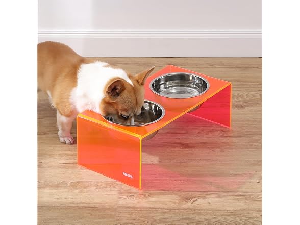 Keaton 7.5" Modern Acrylic Rectangular Elevated Pet Feeder