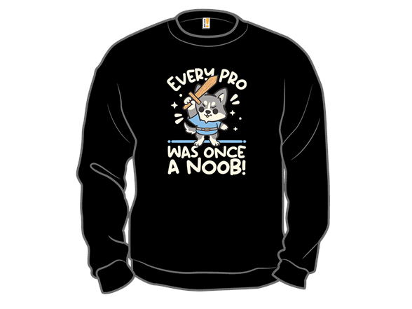 Every Pro Was Once a Noob - Gallery 4