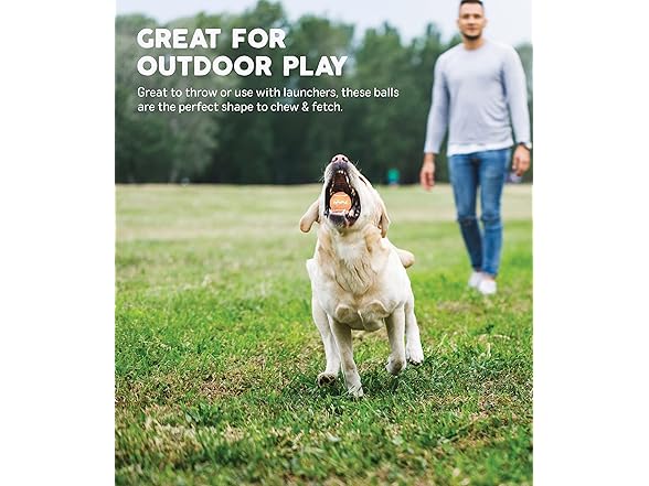Outward Hound Tennis Ballz Fetch Dog Toy