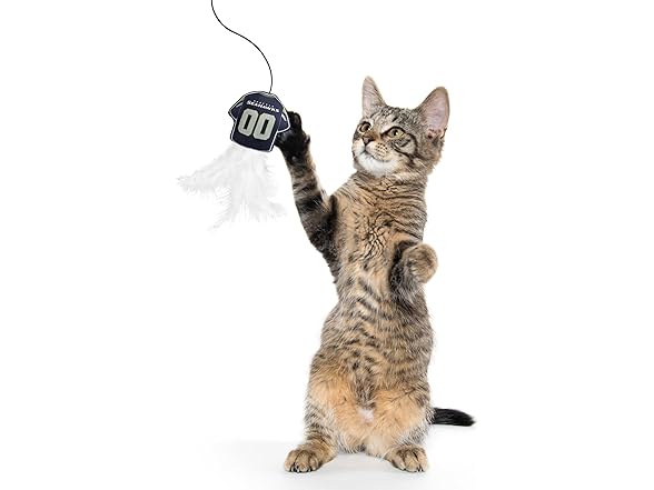 NFL Seattle Seahawks Team Jersey Wand with CAT NIP
