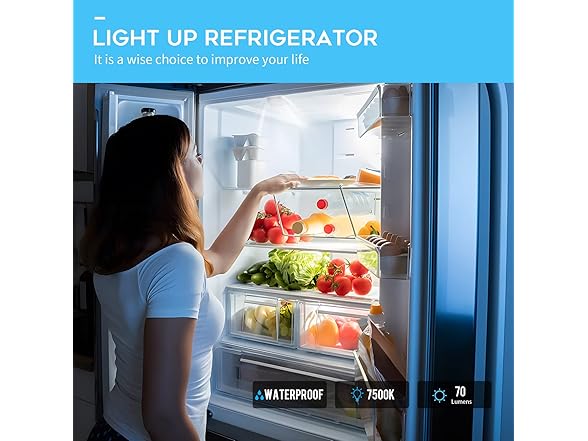 W10515057 Refrigerator Freezer LED Light Set