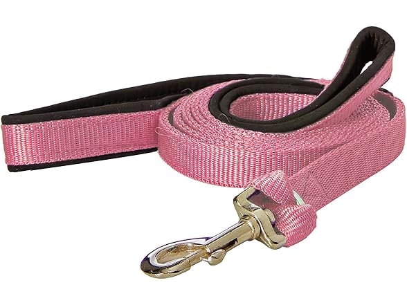 Padded Double Handle Leash with Warranted Re