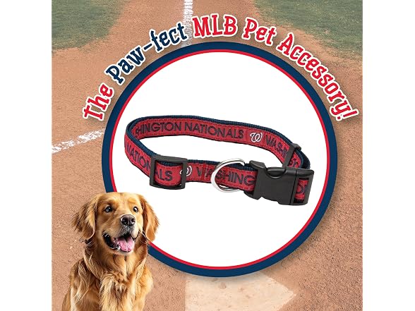 MLB Washington Nationals Licensed PET COLLAR