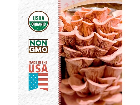 Back to the Roots Organic Mushroom Grow Kit 3-Pack