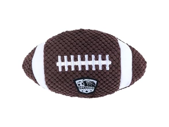 SportsBallz Football