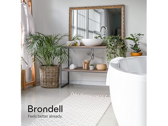 Brondell LT89 Bidet Toilet Seat w/ Side Arm Control