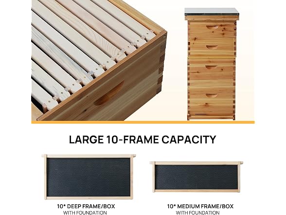 Walsport 10-Frame Langstroth Bee Hive