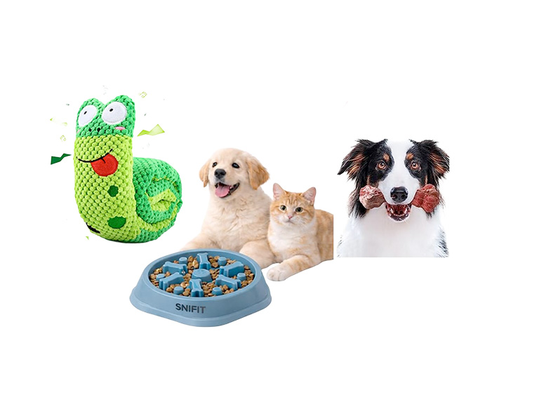 Pet-tacular Fun Treasures! - Gallery 4