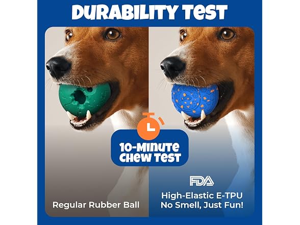 Fsitego Dog Balls: Interactive Dog Ball Auto Rolling