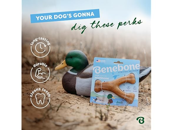 Benebone Wishbone Durable Dog Chew Toy for Ag