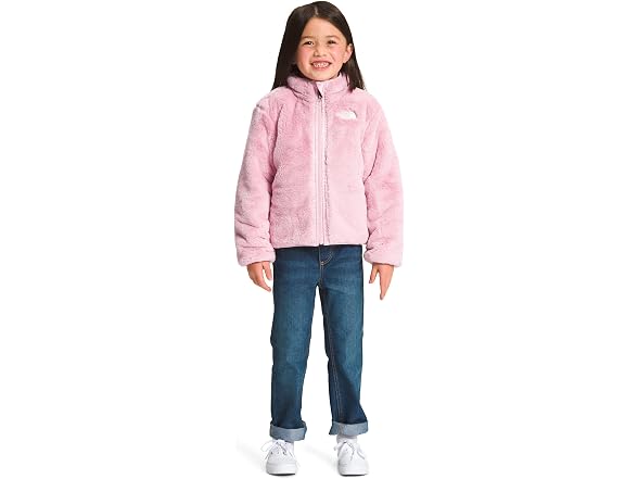 The North Face Reversible Jacket