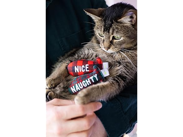 Set of 2 Pearhead Naughty Or Nice Christmas Toy