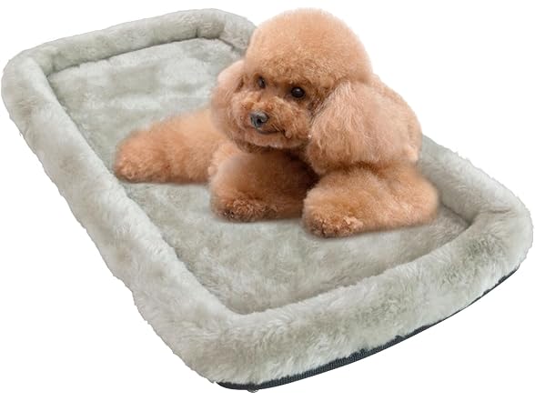 Mr. Peanut's Platinum Series Pet Carrier Fau