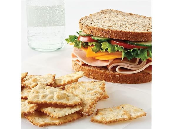 RITZ Toasted Chips Sour Cream and Onion Crackers