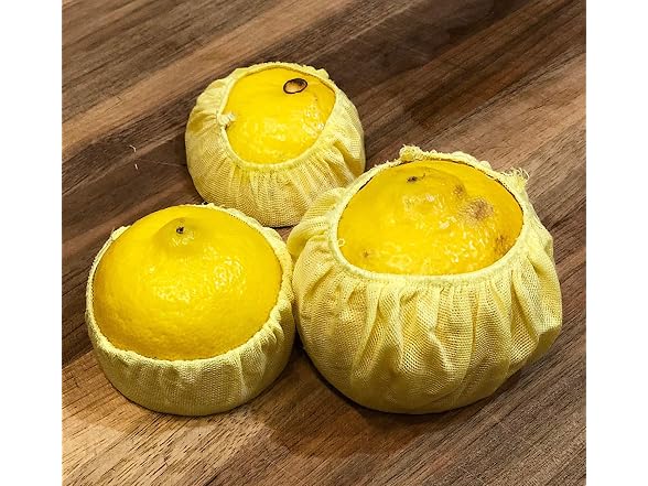 Fox Run Lemon Bags, Set of 18 Lemon Savers