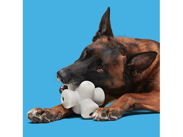 BarkBox Chomping Jacks Natural Rubber Dog Toy