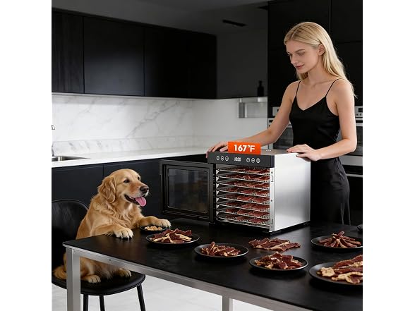PSIIDAN Food Dehydrator Machine
