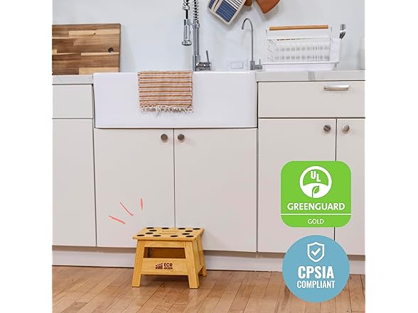 ECR4Kids Folding Step Stool with Handle
