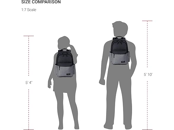 SwissGear 2789 Laptop Backpack