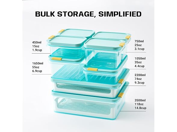 LocknLock Food Storage Container, 15.2 fl oz (450 mL)