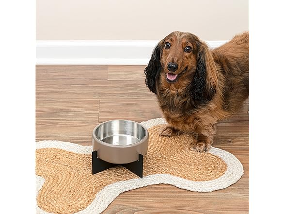 Intersecta Small/Medium Concrete and Stainless Steel Bowl