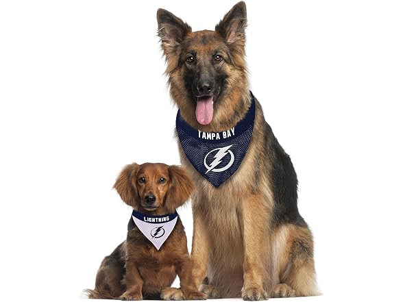 NHL TAMPA BAY LIGHTNING BANDANA for DOGS & C
