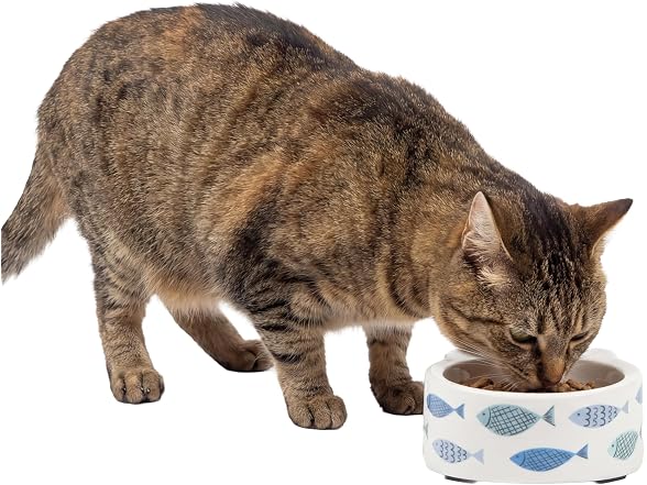 Kitty City Elevated Melamine Cat Bowl- Blue Fish