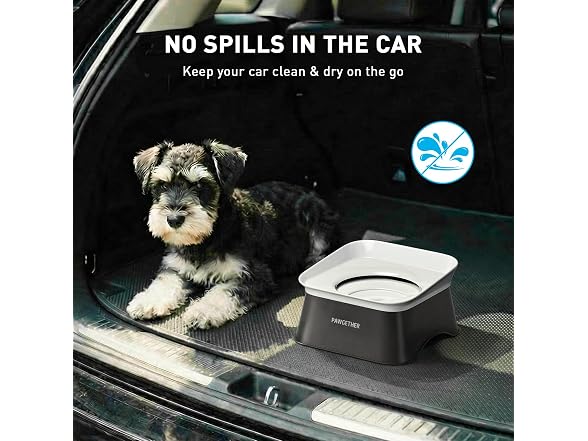PAWGETHER No Spill Water Bowl for Dog