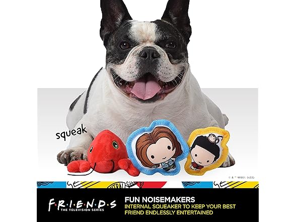 Friends the TV Show WB Friends
