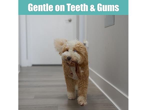 SPOT Skinneeez Beaver Dog Toy