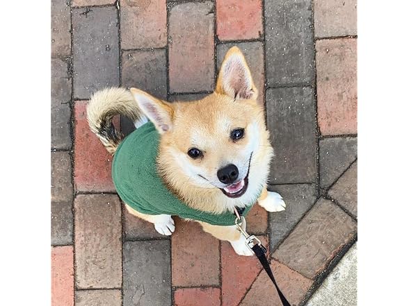 Gooby Stretch Fleece Vest Dog Sweater, Fores