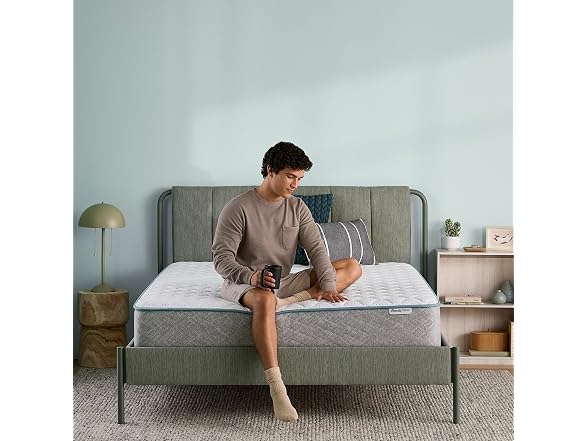 Beauty Sleep 10" King Foam Mattress