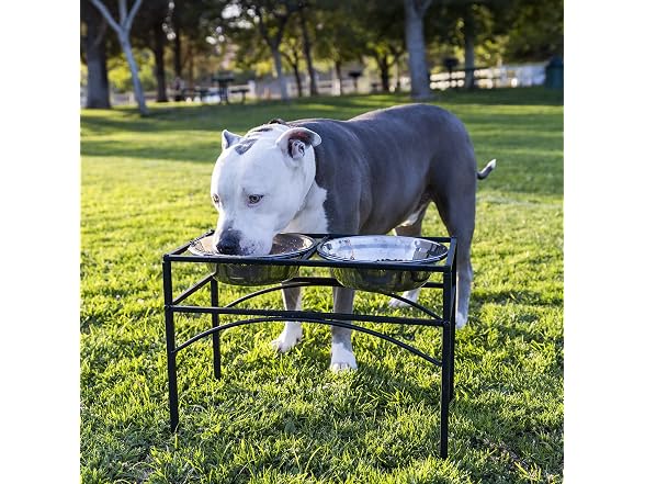 Dazone Elevated Dog Bowls
