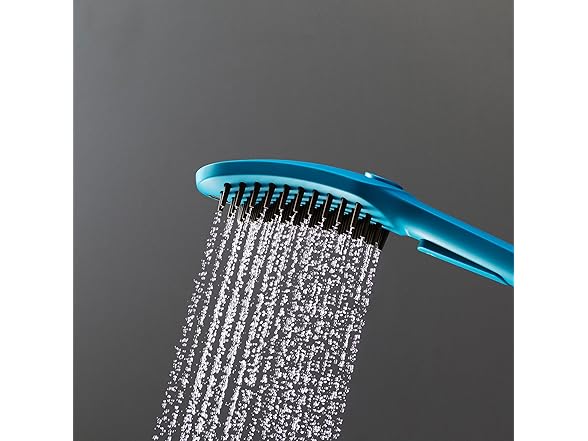 hansgrohe DogShower 150 3-Jet Sky