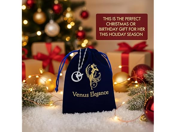 Silver Hummingbird Necklace