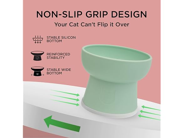 Necoichi 2pcs Elevated Cat Water Bowls, Food