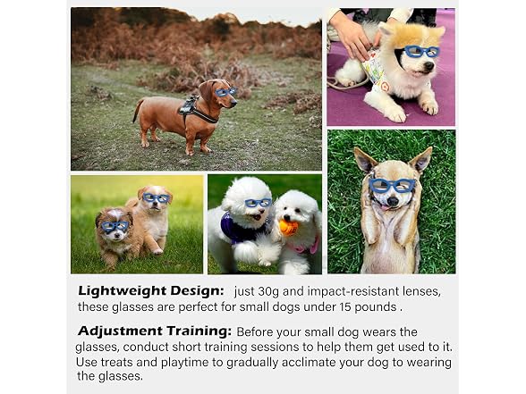 Dog Goggles Small Breed, UV/Wind/Dust/Fog Pr