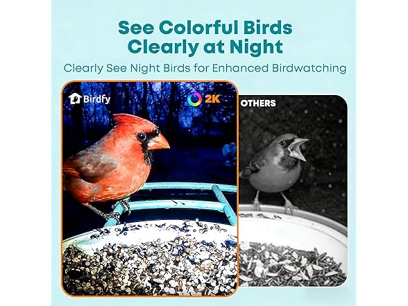 NETVUE Birdfy AI Smart Bird Feeder