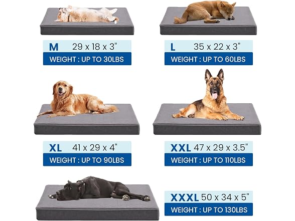 Cooling Dog Beds