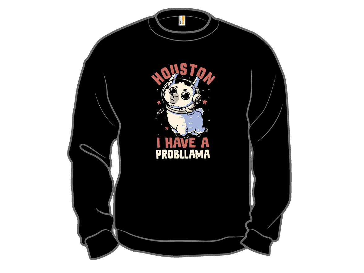 Houston I Have a Probllama - Gallery 11