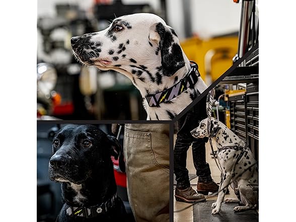 Wolfgang Heavy Duty, Adjustable Wide Venture Dog Collar