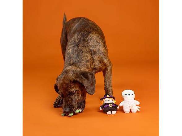 Fringe Studio Pet Toy, Ghouls Wanna Have Fun Plush Dog